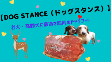 鹿肉が原料のドッグフード【DOG STANCE（ドッグスタンス）】