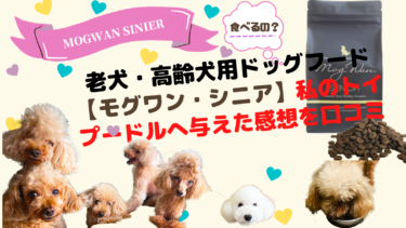 モグワンシニアの口コミ評判は本当？17歳・14歳の老犬トイプードルに与えた私の本音レビュー！通常版との違いや便・食いつきのリアルな変化