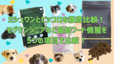 ミシュワンとピッコロを徹底比較！モグワンシニアなど最新フード情報を5つの項目で比較！
