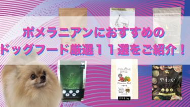 ポメラニアンにおすすめのドッグフード厳選１１選＋２をご紹介！
