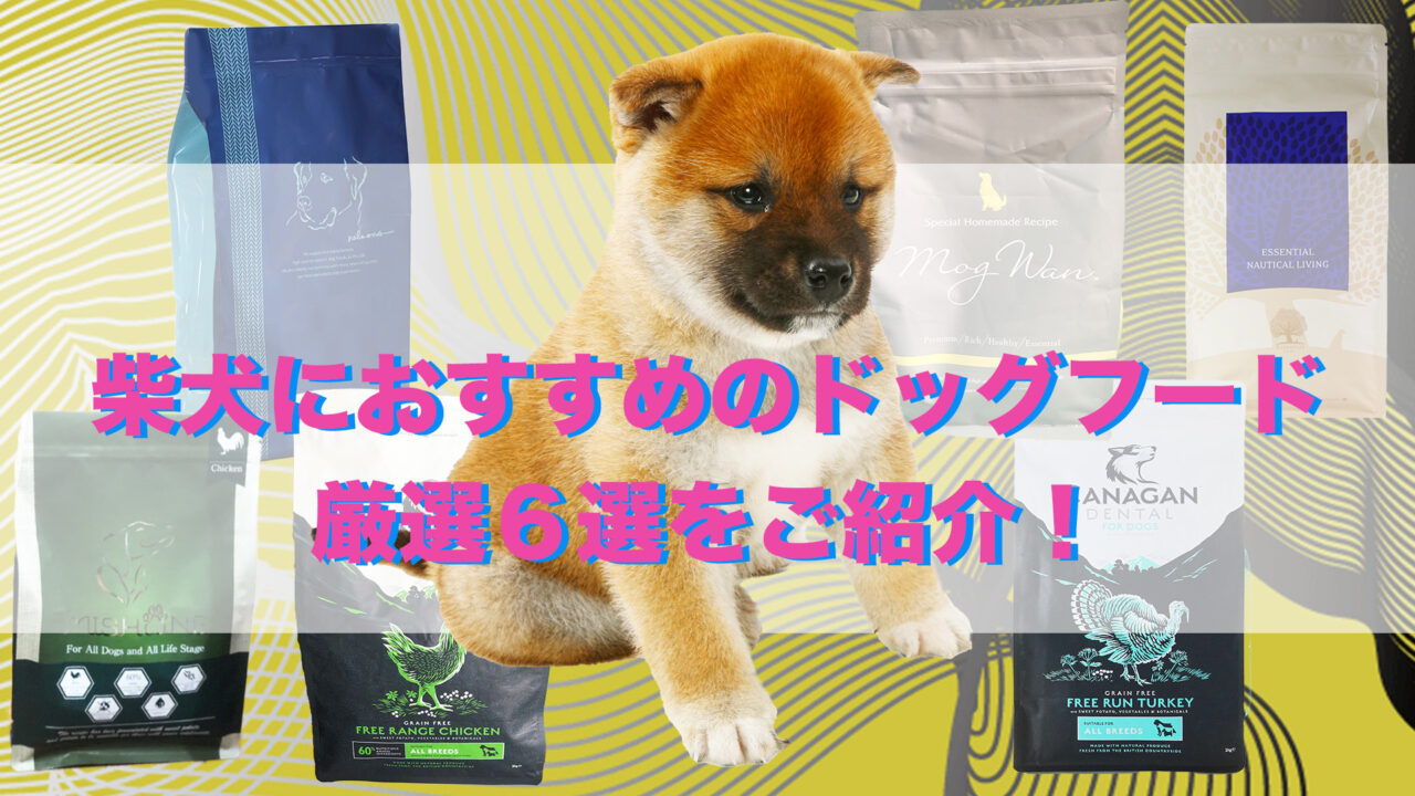 日本犬の代表格である柴犬にはどんなドッグフードが最適なのかおすすめドッグフードを厳選して６つ選びました。