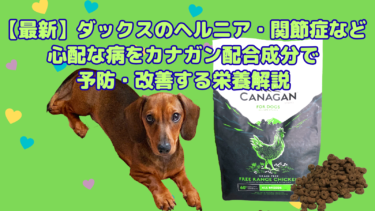 【最新】ダックスのヘルニア・関節症など心配な病をカナガン配合成分で予防・改善する栄養解説