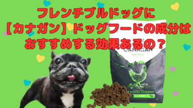 カナガンドッグフードのフレンチブルドッグに良い成分と効果を口コミ！