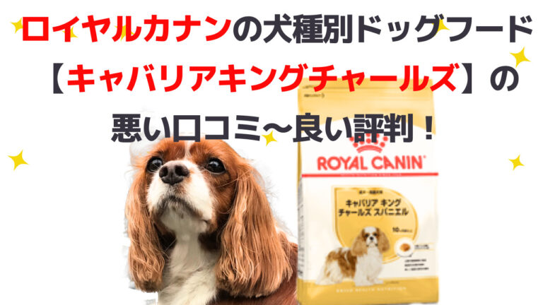 ロイヤルカナンの犬種別ドッグフードにあるキャバリア・キングチャールズ・スパニエル用の悪い口コミから良い評判までをまとめてわかりやすく解説しています。