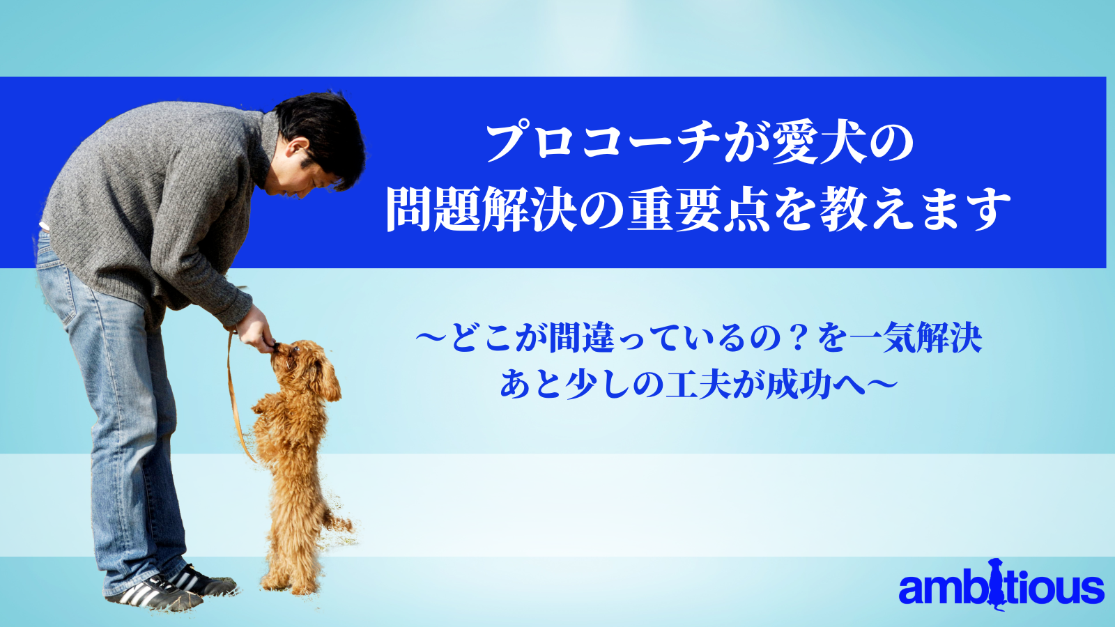 アンビシャス三島毅のココナラ内本格的なしつけ相談をチャット対応中