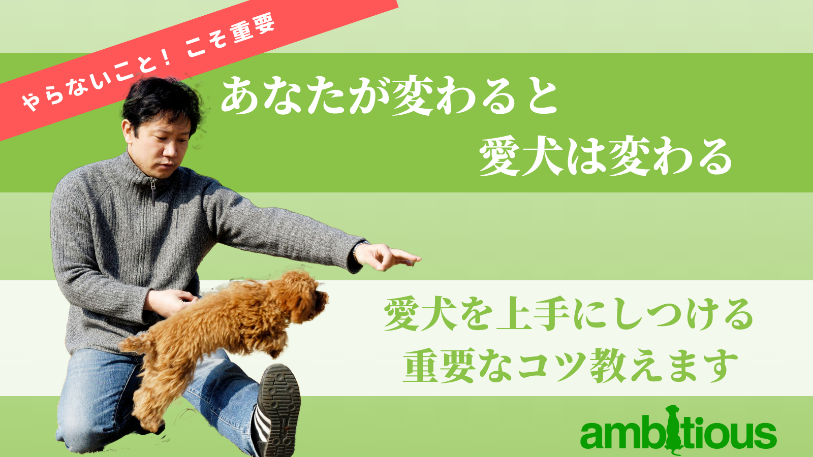 アンビシャス三島毅のココナラ内本格的に愛犬へのトレーニングにおいて成果を出すために大切なことを電話にて丁寧に解説しています。