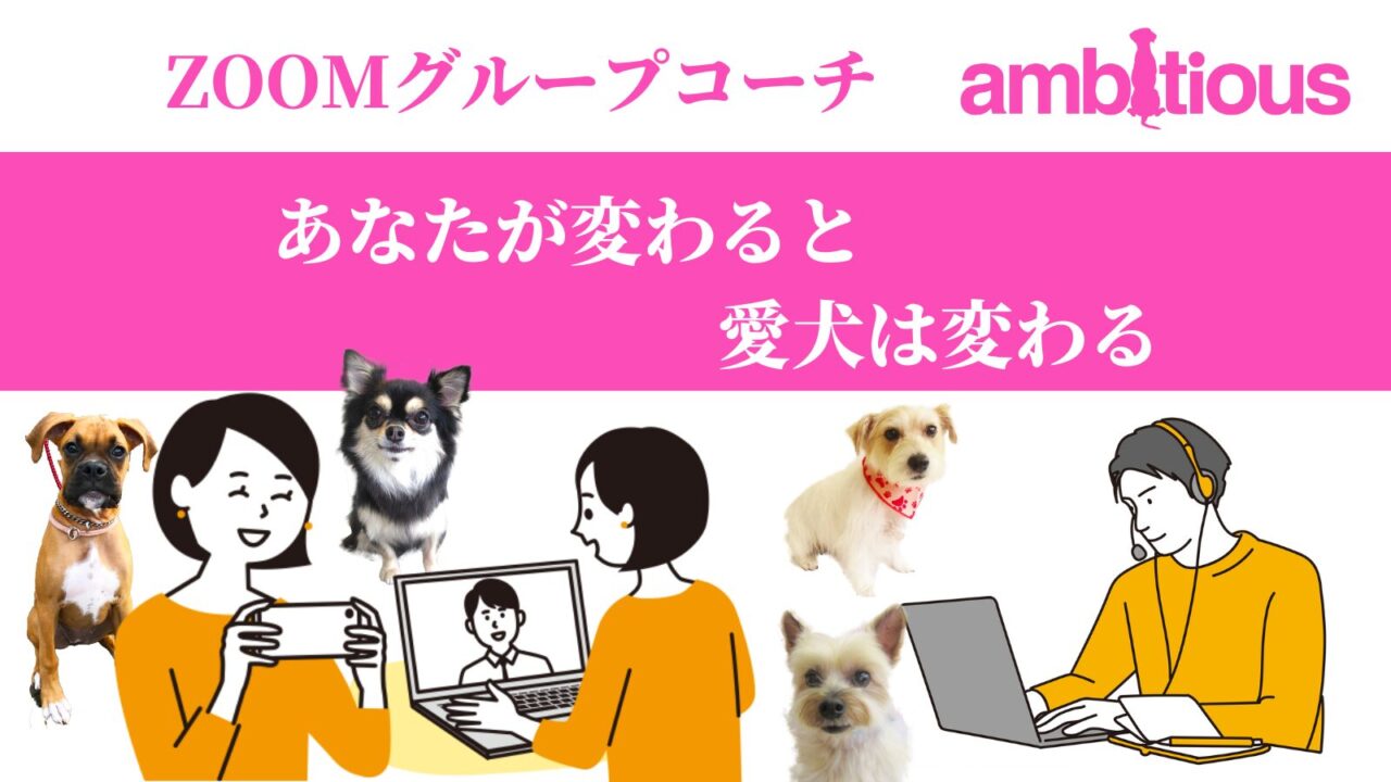 犬プロフェッショナル「アンビシャス」が愛犬の飼い方・しつけ方の向上に貢献するために開催する Zoomグループコーチの解説