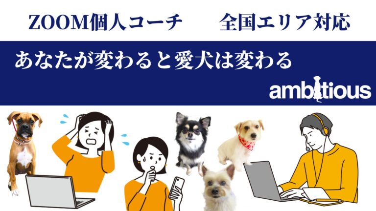 家庭犬のしつけ方やトレーニングのお悩みをオンラインである電話やZoomを活用して解決していくアンビシャスの新しい取り組みをご紹介します