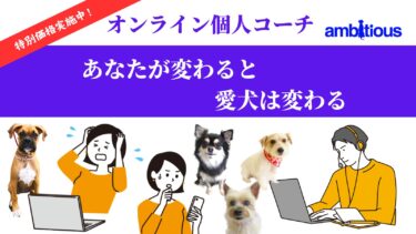 家庭犬のしつけ方やトレーニングのお悩みをオンラインである電話やZoomを活用して解決していくアンビシャスの新しい取り組みをご紹介します