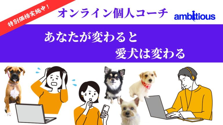 家庭犬のしつけ方やトレーニングのお悩みをオンラインである電話やZoomを活用して解決していくアンビシャスの新しい取り組みをご紹介します