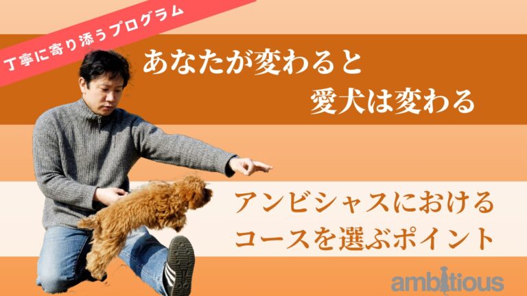 アンビシャスの愛犬のトレーニングコースにおいてどのように選ぶことが大切かそのポイントを解説しています。