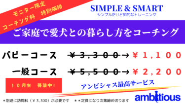 愛犬家向け訪問型コーチの特別価格をご紹介！