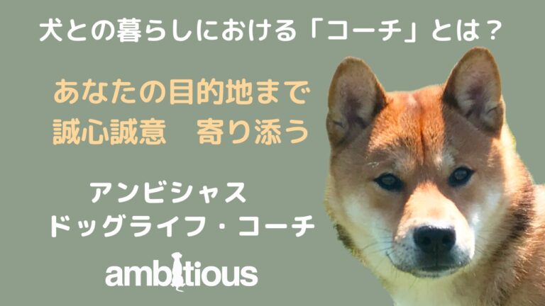 家庭犬のしつけサポートへのコーチングの意味