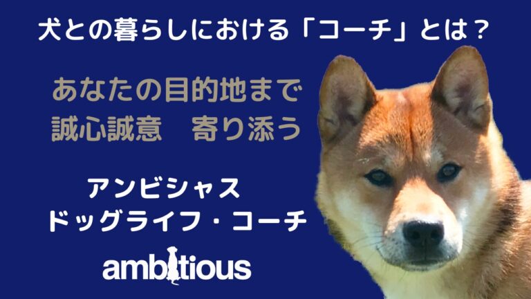 アンビシャス・ドッグライフ・コーチとしての意味を解説