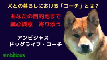 家庭犬のしつけやトレーニングにおける「コーチ」とは？