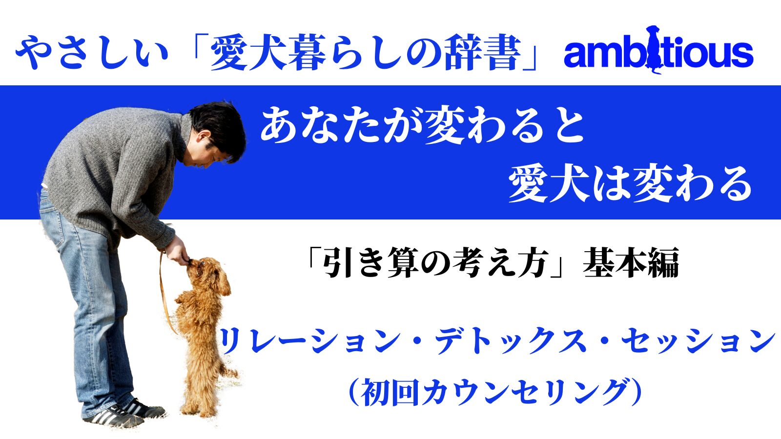 アンビシャスの初回カウンセリングである「リレーション・デトックス・セッション」お申し込みの方限定での贈呈している基本プログラム動画講座