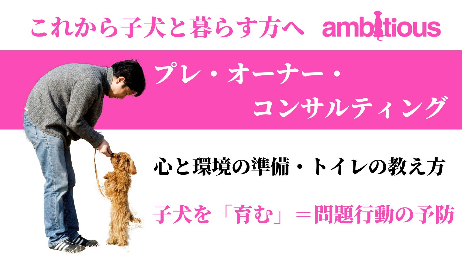 子犬を飼い始める前の子犬選び・心と環境の準備やトイレの教え方をコーチング