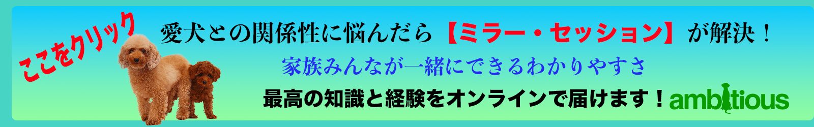 愛犬との関係性を診断するオンライン・セッション