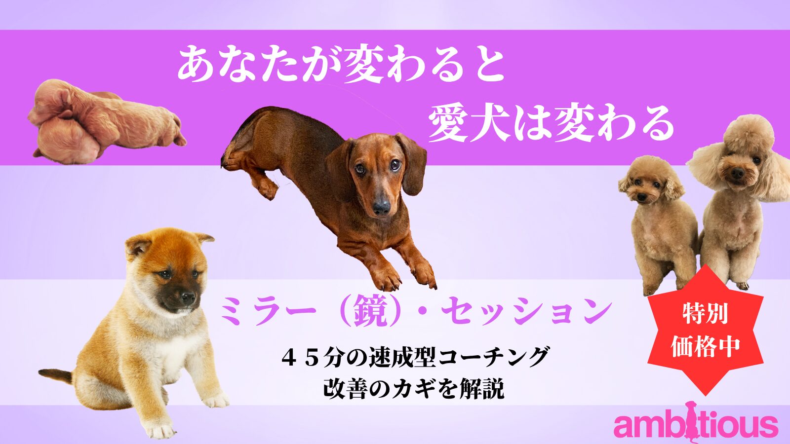４５分間の速成型簡易コーチングで「引き算の法則」を体験