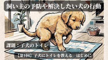 子犬のトイレの教え方イメージ