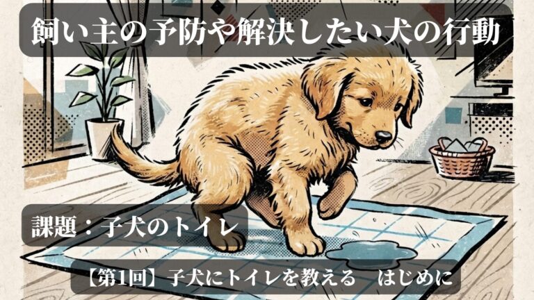 子犬のトイレの教え方イメージ