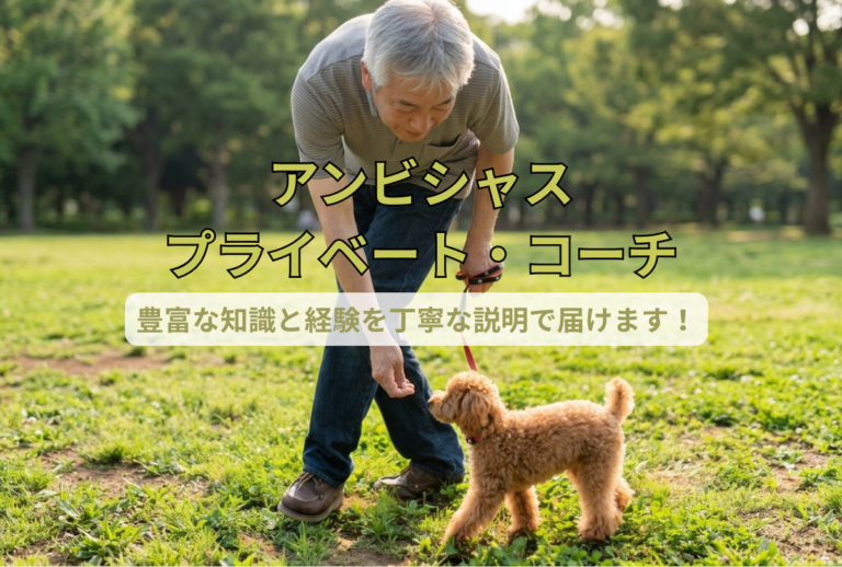 プライベート・コーチのイメージ